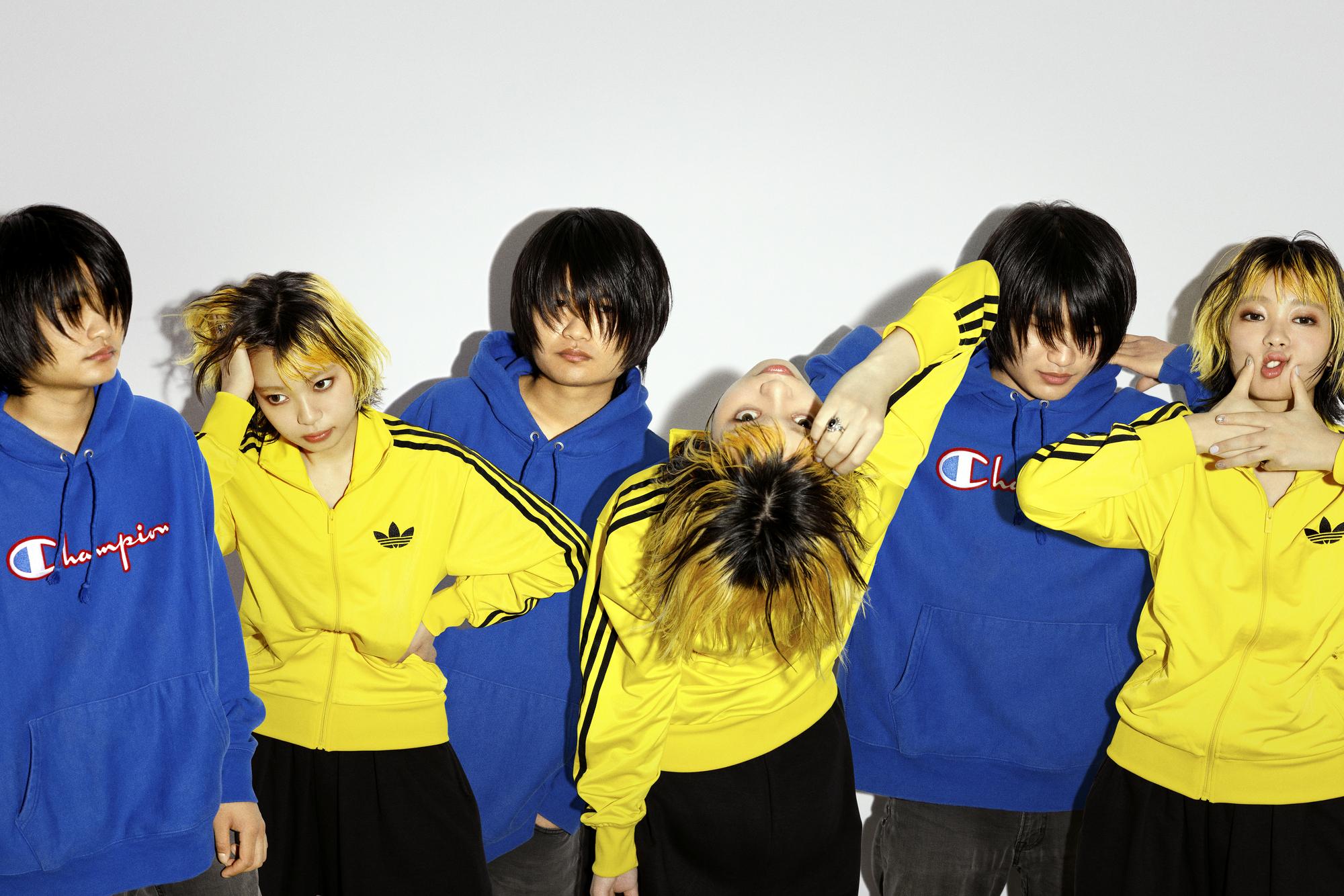 板歯目│板歯目 OFFICIAL SITE